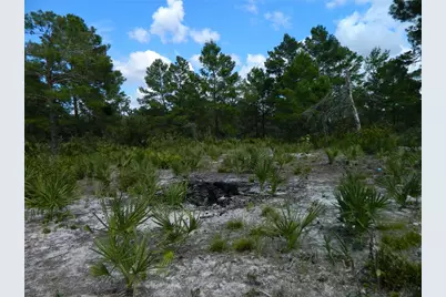 2220 N Altair Road, Avon Park, FL 33825 - Photo 3