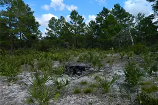 2220 N Altair Rd, Avon Park, FL 33825 - Photo 3