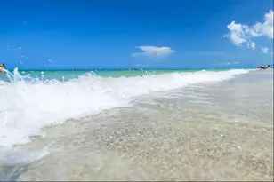 19610 Gulf Blvd, Indian Rocks Beach, FL 33785 - Photo 19