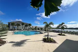 133 Mangrove Shade Cir, Apollo Beach, FL 33572 - Photo 43