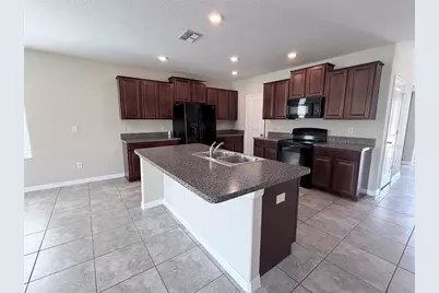10013 Crested Fringe Drive, Riverview, FL 33578 - Photo 5