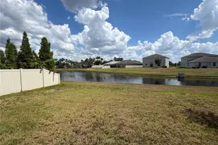 10013 Crested Fringe Dr, Riverview, FL 33578 - Photo 23