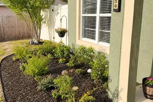 10056 Gifford St, Spring Hill, FL 34608 - Photo 3