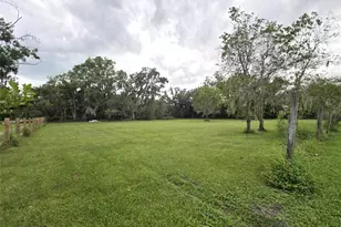 3301 Medulla Rd, Plant City, FL 33566 - Photo 31