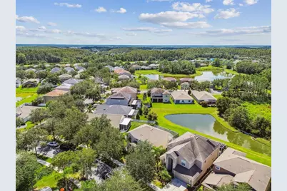 10621 Lucaya Drive, Tampa, FL 33647 - Photo 69