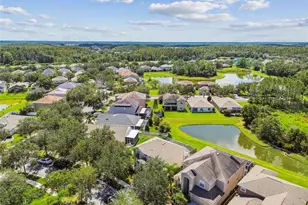 10621 Lucaya Dr, Tampa, FL 33647 - Photo 69