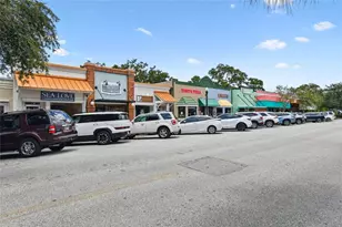 623 Palm Blvd, Dunedin, FL 34698 - Photo 53