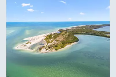 623 Palm Boulevard, Dunedin, FL 34698 - Photo 33