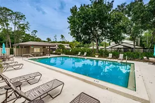 315 Woods Landing Trail, Oldsmar, FL 34677 - Photo 37