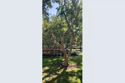 5912 N Suwanee Avenue, Tampa, FL 33604 - Photo 67