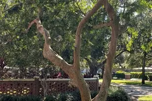 5912 N Suwanee Ave, Tampa, FL 33604 - Photo 67