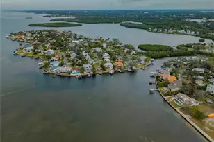 109 Peterson Ln, Palm Harbor, FL 34683 - Photo 83