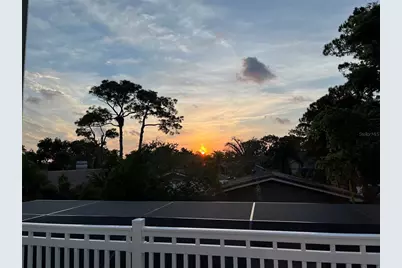 109 Peterson Lane, Palm Harbor, FL 34683 - Photo 71