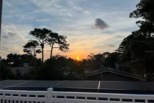 109 Peterson Ln, Palm Harbor, FL 34683 - Photo 71