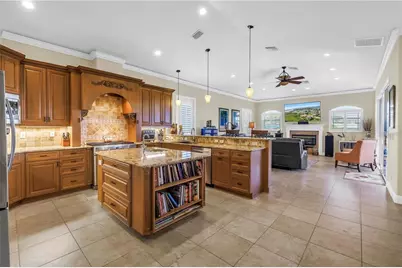2101 N Pointe Alexis Drive, Tarpon Springs, FL 34689 - Photo 27
