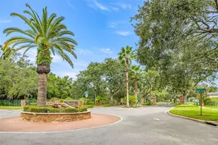 2218 Climbing Ivy Dr, Tampa, FL 33618 - Photo 61