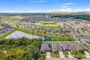 3802 Daisy Bloom Pl, Tampa, FL 33619 - Photo 41