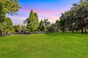 1523 Fishing Lake Dr, Odessa, FL 33556 - Photo 9