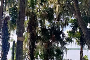 24605 and 24645 NE 177th Terrace, Fort Mc Coy, FL 32134 - Photo 81