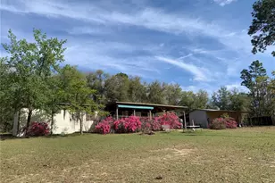 24605 and 24645 NE 177th Terrace, Fort Mc Coy, FL 32134 - Photo 9