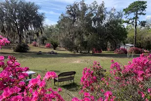 24605 and 24645 NE 177th Terrace, Fort Mc Coy, FL 32134 - Photo 5