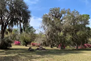 24605 and 24645 NE 177th Terrace, Fort Mc Coy, FL 32134 - Photo 7