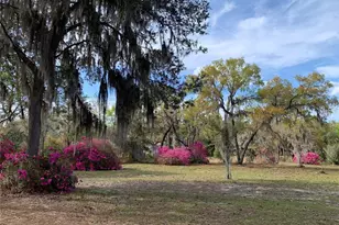 24605 and 24645 NE 177th Terrace, Fort Mc Coy, FL 32134 - Photo 99