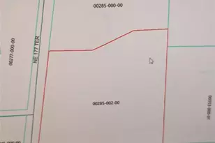 24605 and 24645 NE 177th Terrace, Fort Mc Coy, FL 32134 - Photo 3