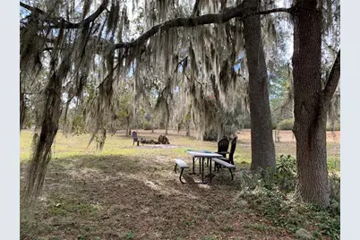 24645 and 24605 NE 177th Terrace, Fort Mc Coy, FL 32134 - Photo 67