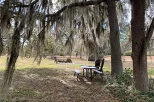 24645 and 24605 NE 177th Terrace, Fort Mc Coy, FL 32134 - Photo 67