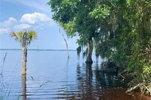 24645 and 24605 NE 177th Terrace, Fort Mc Coy, FL 32134 - Photo 79