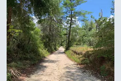 24645 and 24605 NE 177th Terrace, Fort Mc Coy, FL 32134 - Photo 81