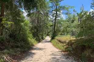 24645 and 24605 NE 177th Terrace, Fort Mc Coy, FL 32134 - Photo 81