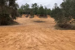 24645 and 24605 NE 177th Terrace, Fort Mc Coy, FL 32134 - Photo 85