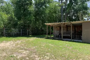 24645 and 24605 NE 177th Terrace, Fort Mc Coy, FL 32134 - Photo 65