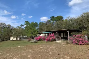 24645 and 24605 NE 177th Terrace, Fort Mc Coy, FL 32134 - Photo 7