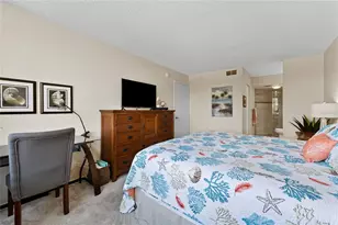 6268 Palma Del Mar Blvd S, Saint Petersburg, FL 33715 - Photo 19