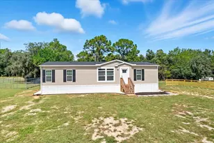 6803 W Avocado St, Crystal River, FL 34429 - Photo 43