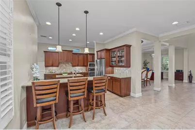 12922 Red Cardinal Drive, Odessa, FL 33556 - Photo 15