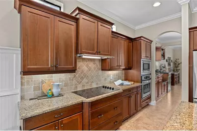 12922 Red Cardinal Drive, Odessa, FL 33556 - Photo 17