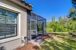 11430 Ranchers Gap Dr, Odessa, FL 33556 - Photo 85