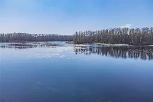 3210 Silkwood Loop, Land O Lakes, FL 34639 - Photo 29