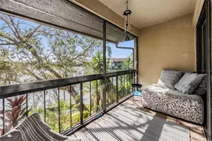 782 Village Lake Terrace N, Saint Petersburg, FL 33716 - Photo 25