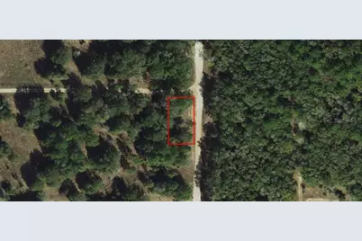 2203 Adams Street, Inverness, FL 34453 - Photo 9