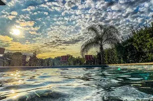 5709 white Trillium Loop, Land O Lakes, FL 34639 - Photo 15