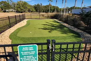 5709 white Trillium Loop, Land O Lakes, FL 34639 - Photo 49