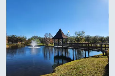 5709 White Trillium Loop, Land O Lakes, FL 34639 - Photo 53