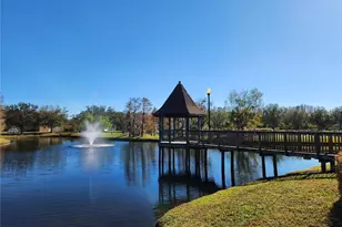 5709 white Trillium Loop, Land O Lakes, FL 34639 - Photo 53