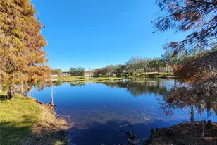 5709 white Trillium Loop, Land O Lakes, FL 34639 - Photo 55