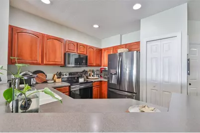 20484 Needletree Drive, Tampa, FL 33647 - Photo 19